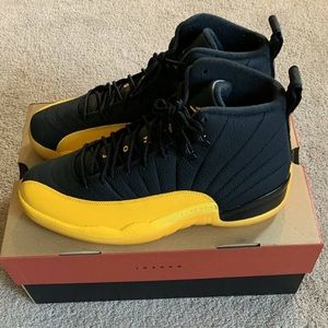 Jordan retro 12s